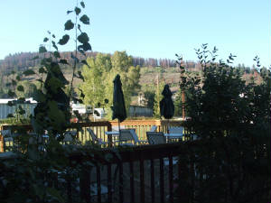 508.jpg
