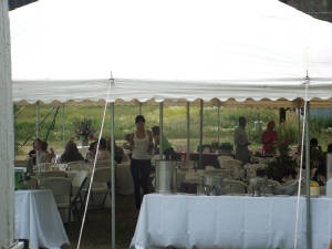 lastpictures131.jpg
